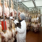 Investigación y desarrollo